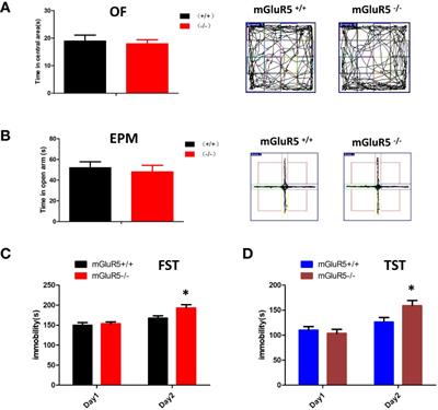 Analysis of the Gut Microbiota and Inflammatory Factors in mGluR5-Knockout Mice